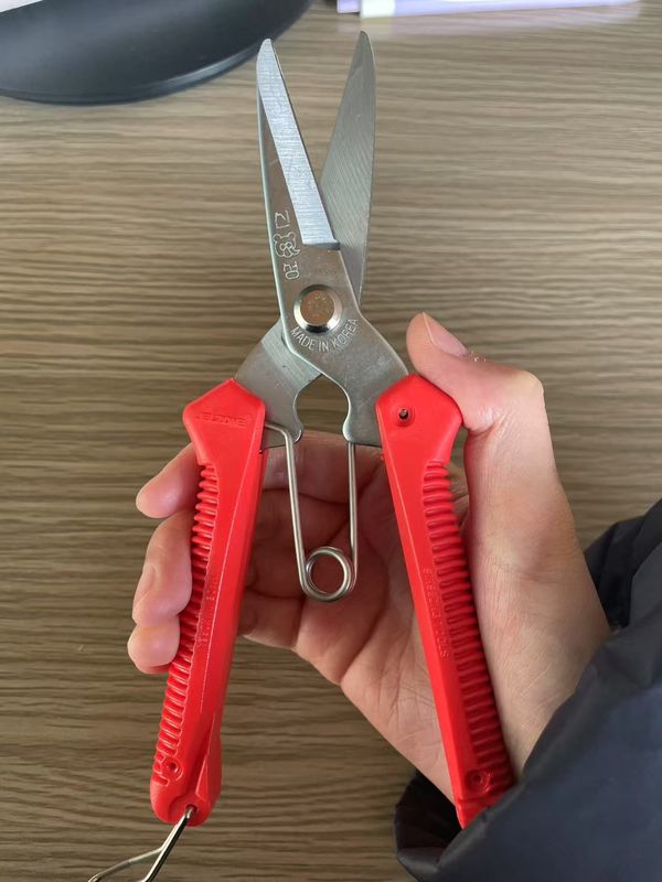 이름