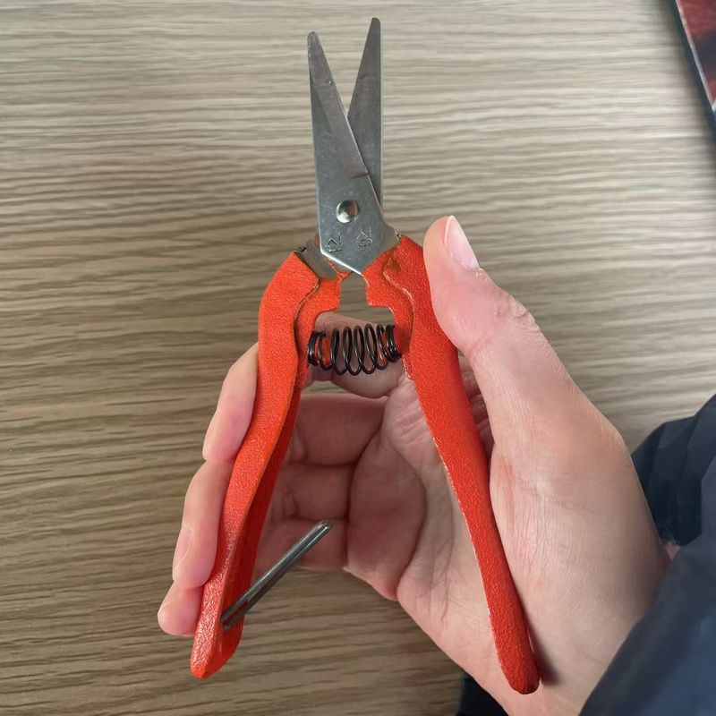 이름