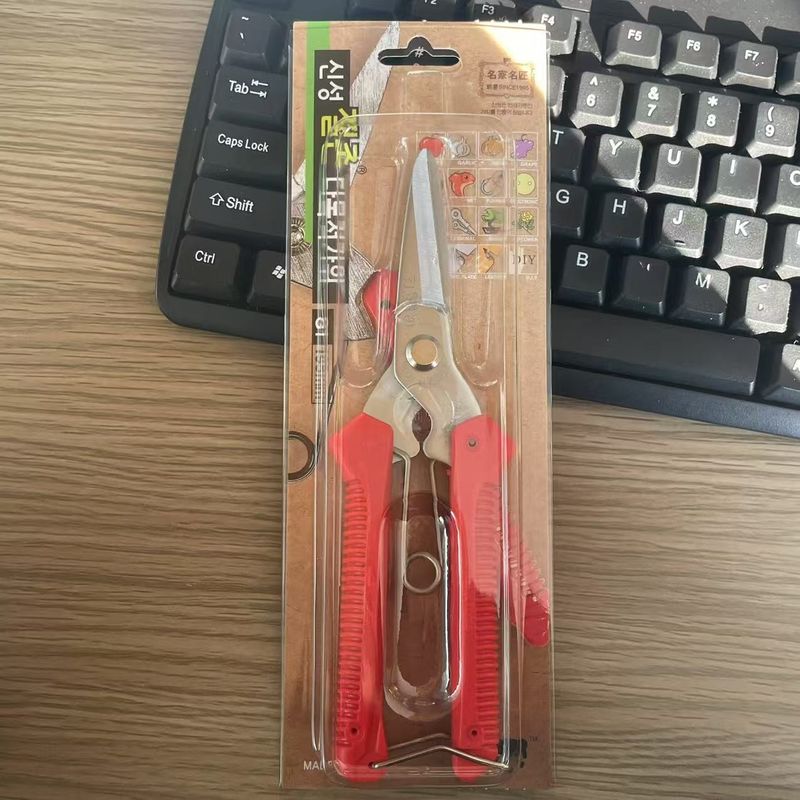 이름
